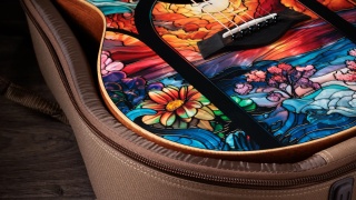 Chitară Acustică Taylor ZEDD GS Mini Telos Ediție Specială - Img 9