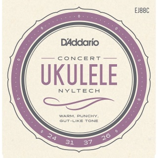 corzi-ukulele-concert-d'addario-EJ88C