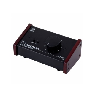 Palmer Monicon