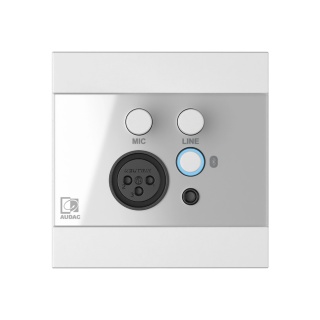 Panou perete Audac WP225/W Alb