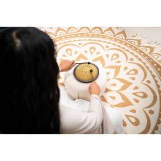 Steel Tongue Drum Meinl Sonic Energy SSTD3G – Small (Gold) - Img 8
