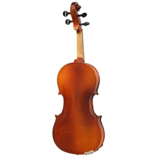 vioara-1/4/-economica-standard-hora-reghin-5