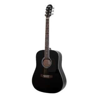 Chitară acustică Aria Prodigy AWN-15 Black