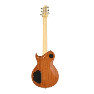 chitara-electrica-aria-pro II-PE-480-BS-sunburst-maro-3