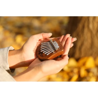Kalimba Mini Meinl Sonic Energy KL801TOL - Img 6
