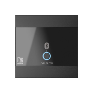 Panou perete Audac WP220/B Negru