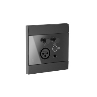 Panou perete Audac WP225/B Negru - Img 2
