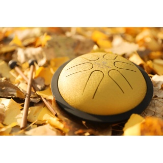 Steel Tongue Drum Meinl Sonic Energy MSTD3G – Mini (Gold) - Img 7