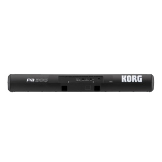 aranjor-profesional-korg-PA300-61-clape-3