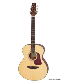 Chitară Acustică Aria AF-10 MTN (Matte Natural)