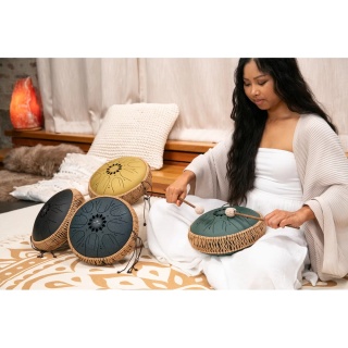 OCTAVE STEEL TONGUE DRUM - OSTD4DG - Img 11