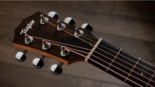 Chitară Acustică Taylor ZEDD GS Mini Telos Ediție Specială - Img 7