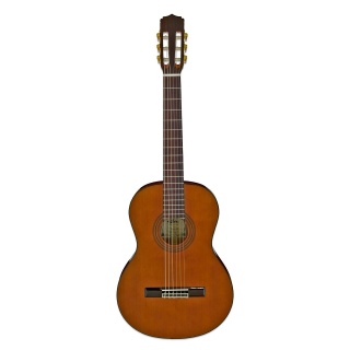 Chitară Clasică Aria A-20N Natural