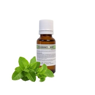 Esenta pentru Lichid de Fum EuroScent - Menta - 20ml