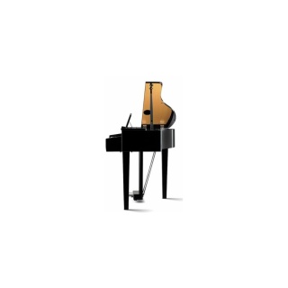 Pian Digital Kawai DG 30 - Img 3