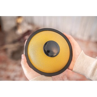 Steel Tongue Drum Meinl Sonic Energy MSTD3G – Mini (Gold) - Img 11