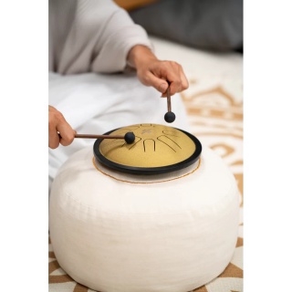 Steel Tongue Drum Meinl Sonic Energy SSTD3G – Small (Gold) - Img 6
