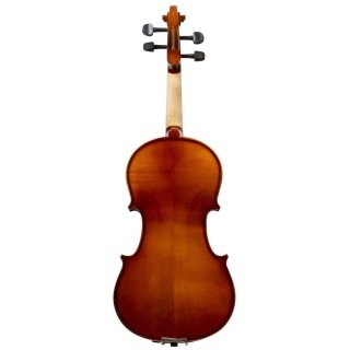 vioara-vhienna-VOS18-1/8-student-2