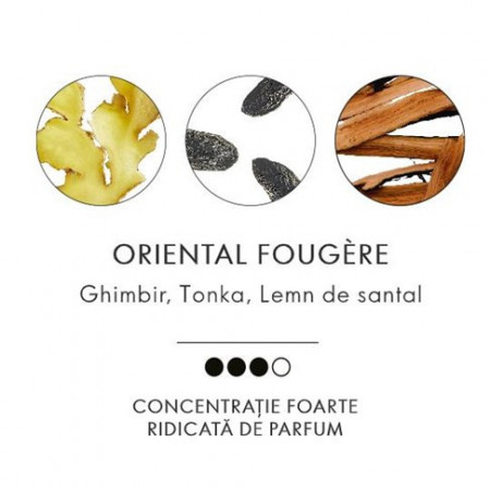Apă de parfum pentru el Lost in You - Img 3