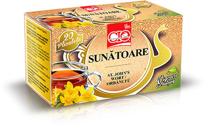 CEAI SUNATOARE CIO 20 PLIC