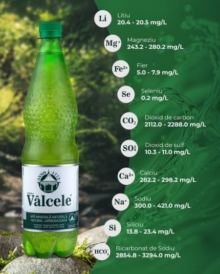 Apă minerală Vâlcele, Bax 9 Sticle x 1L - Img 2