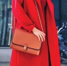 Geantă Chic Clutch - Img 4