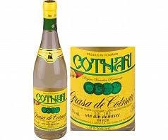 GRASĂ de COTNARI - Img 2