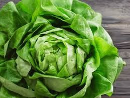 Salată verde