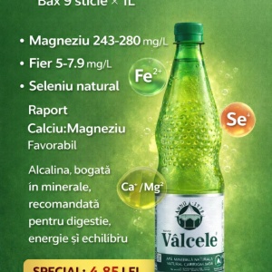 Apă minerală Vâlcele, Bax 9 Sticle x 1L