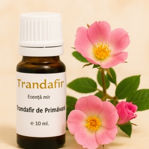 Esență mir – Trandafir de Primăvară (10 ml)
