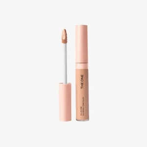 Concealer THE ONE All-In-One NEW
