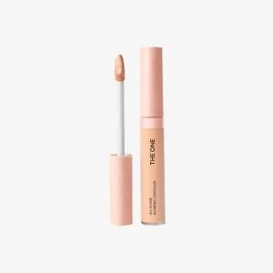Concealer THE ONE All-In-One NEW