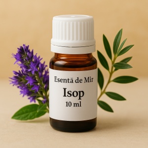 Esență de Mir – Isop (10 ml)