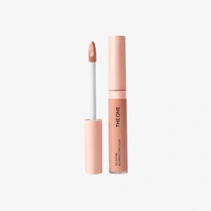 Concealer THE ONE All-In-One NEW