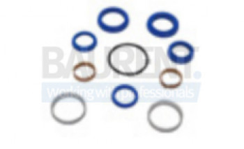 Kit etansare cilindru 30x50 mm rampa hidraulica DHOLLANDIA