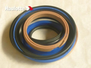 Garnituri pentru cilindru brat nacela telescopica Haulotte H14TX, H16TPX