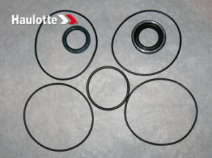 Kit garnituri motor Haulotte