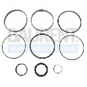 Kit de etansare cilindru nacela autoridicatoare JLG 123305