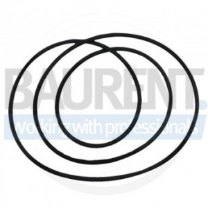 O ring Steyr 123642
