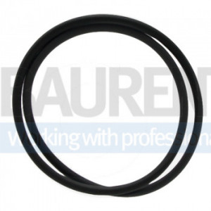 O ring tractoare CASE 123583