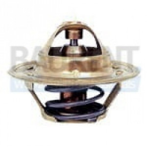 Termostat JCB