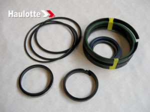 Garnituri Cilindru Hidraulic Nacela Haulotte HA20P, HA20PX, HA26PX