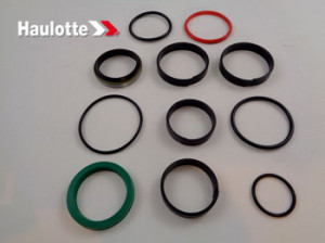 Set garnituri cilindru hidraulic nacela Haulotte HA18PX