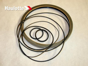 Set garnituri motor Haulotte H16TPX / HB44J, H18SX / H18SXL