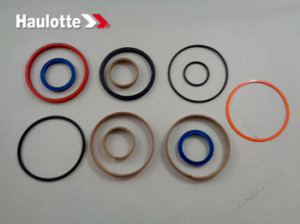 Garnituri motor nacela Haulotte HA18PX