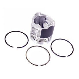 Set piston + segmenti Perkins 115017581