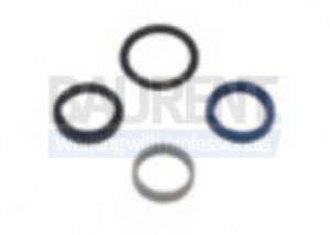 Kit etansare cilindru 30x38 mm rampa hidraulica DHOLLANDIA