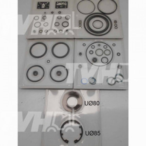 Set garnituri pompa hidaulica incarcator telescopic Merlo ROTO40.25MCSS