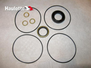 Garnituri motor Haulotte