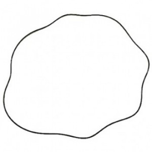 Oring directie pentru tractor Fiat